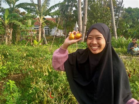 makna mimpi memetik cabe merah 1