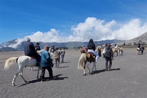 Foto Tarif Sewa Kuda Ke Kawah Gunung Bromo Tak Perlu Jalan Jauh