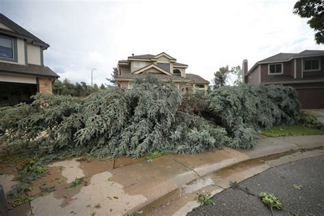 Here's what to do if you have damage from a tornado or hail