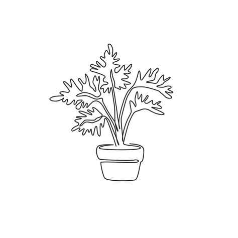 Premium Vector Single Continuous Line Drawing Potted Cute Tropical