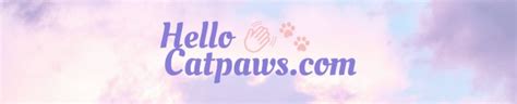 Catpaws Porn Videos Pornhub