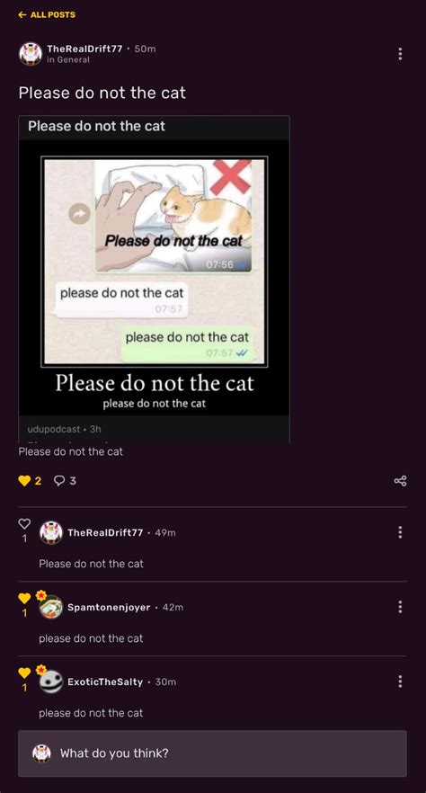Please Do Not The Cat Meme By Realdrifty77 Memedroid