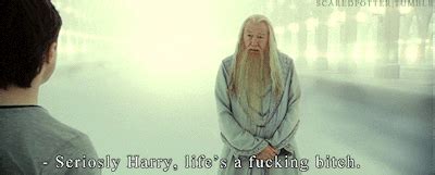 Post Dabasaurus Sex Tumblr Tumbex