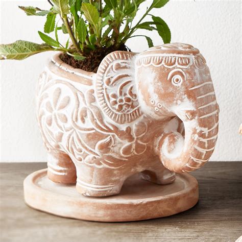 Terracotta Elephant Planter Natural Collection Select