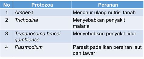 Perhatikan Tabel Biologi Berikut Ini Berdasar Hot Sex Picture