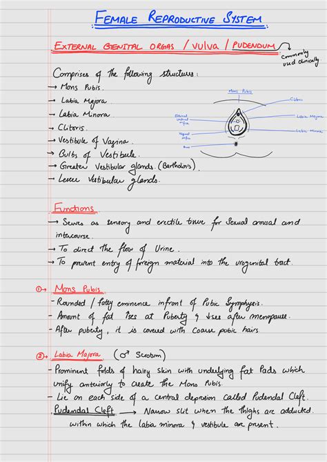 SOLUTION Vulva Vagina Complete Anatomy Studypool