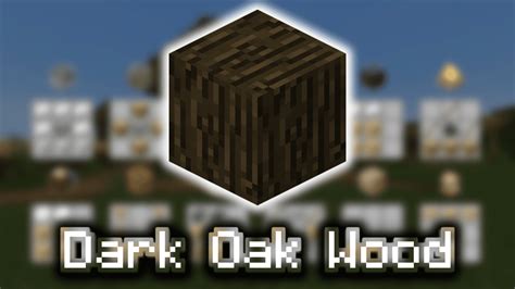 Dark Oak Wood Wiki Guide 9minecraftnet