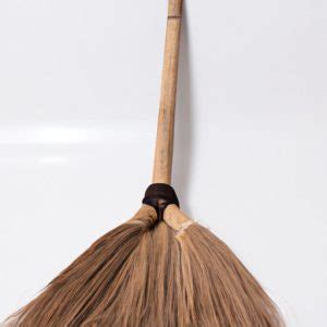 Exploring the Origin of the Broom: Who Invented This Household ...