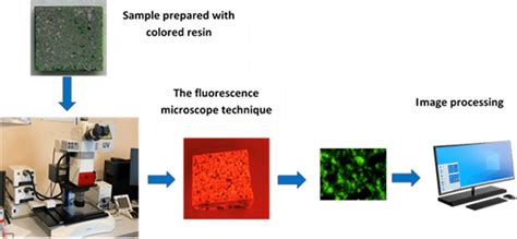 principle  steps  image processing  scientific diagram