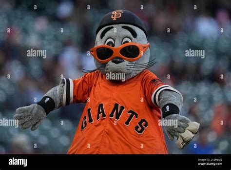 San Francisco Giants Mascot Lou Seal Before A Baseball Game Between The
