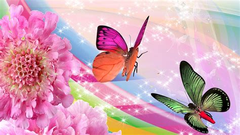 Rainbow Butterfly Wallpapers Top Free Rainbow Butterfly Backgrounds