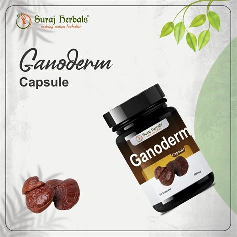herbal ganoderma capsules  bottle jhotwara jaipur id