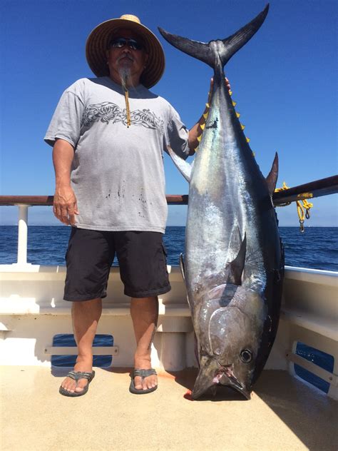 25 Day Charter With A Beautiful 200 Bluefin Tuna Success Sport Fishing