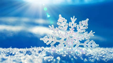 Fondos de pantalla cielo invierno rama escarcha patrón