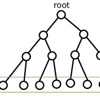 balanced binary tree  scientific diagram
