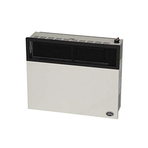 Ashley Hearth Products Dvag N Btu Direct Vent Natural Gas Heater