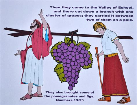 Joshua And Caleb Bible Crafts Sunday School Activities Sunday Images