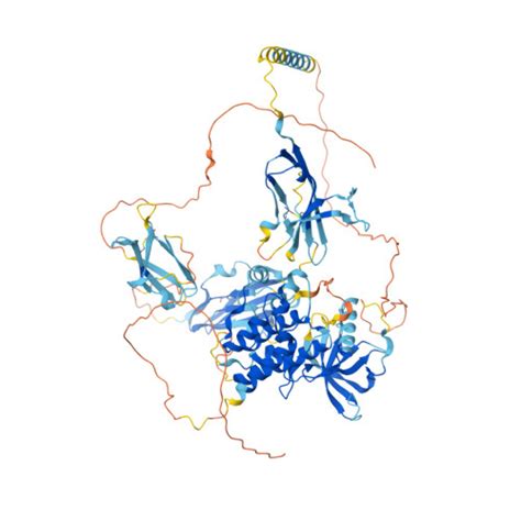 RCSB PDB AF AFQ91287F1 Computed Structure Model Of Fibroblast Growth