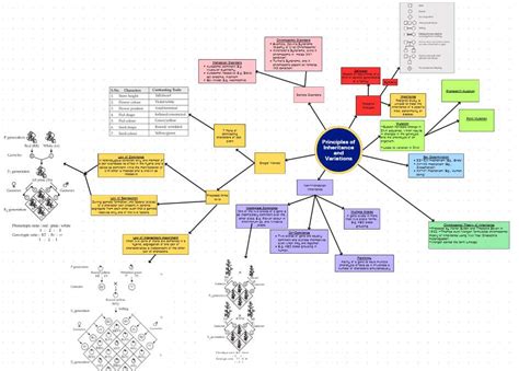 CBSE Principles of Inheritance and Variations Class 12 Mind Map for Chapter 4 of Biology ...