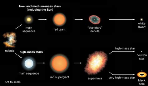 Life Cycle Of Stars Credits Encyclopedia Britannica Download