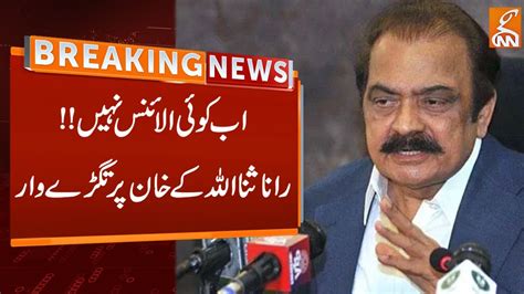 Rana Sanaullah Hints At Formation Of A National Govt Breaking News