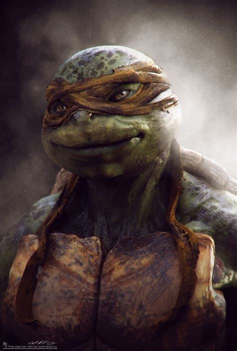 Turtle Ninja Michelangelo 11