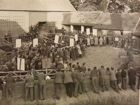 Can a President Serve Three Terms? Analyzing Executive Limits During War 6