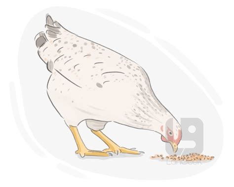 definition meaning  beak picture dictionary