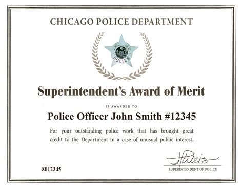 Certificate Of Merit Sample | Best Professionally Designed Templates