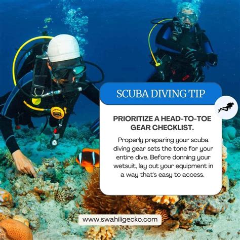 23 Best Scuba Diving Tips For Beginners: Ultimate Guide to Scuba Diving ...