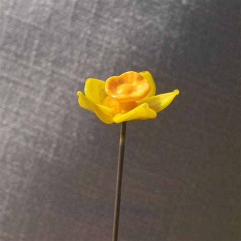 Single Springtime Daffodil Stem Etsy