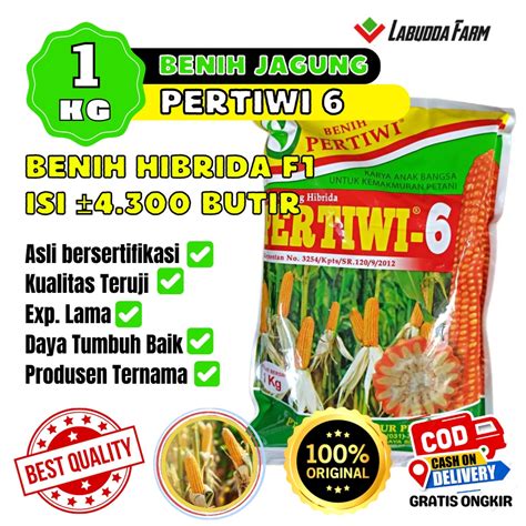 jual benih jagung pertiwi  bibit jagung hibrida  kg  benih jagong