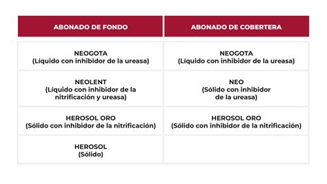 Todo Lo Que Necesitas Saber Sobre La Fertilizaci N Del Cultivo Del