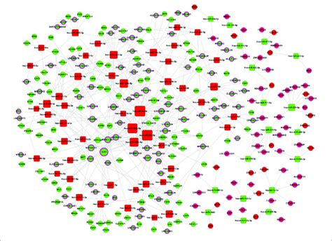 Lncrna Mirna Mrna Regulatory Network Squares Represent Mirnas Balls