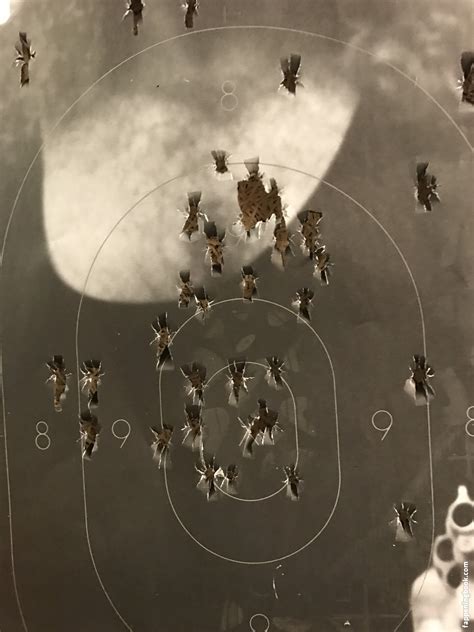 Laughinglatina Nude OnlyFans Leaks The Fappening Photo FappeningBook