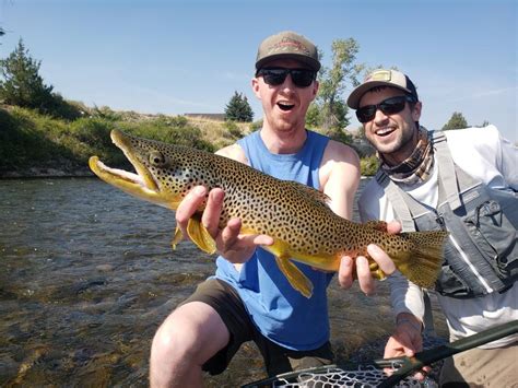 9 September 2022 Yellowstone River And Livingston Area Fly Fishing