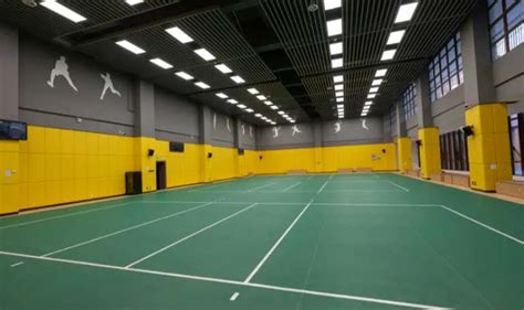 Indoor LED Sports Lighting: Design, Costs & Applications - Sports Venue ...