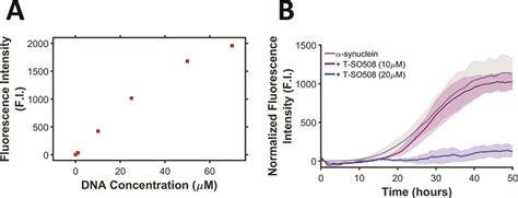 Modulation Of Synuclein Aggregation In Vitro By A Dna Aptamer