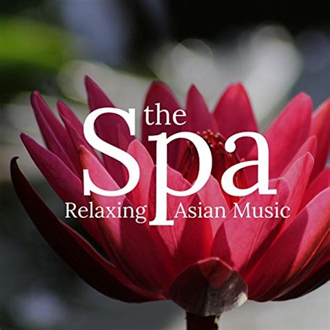 Amazon The Spa Relaxing Asian Music For Couples Massage Full