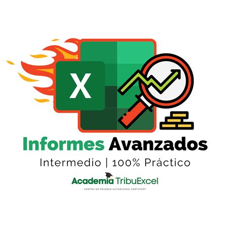 Curso Dise O De Informes Avanzados Con Excel Academia Tribuexcel