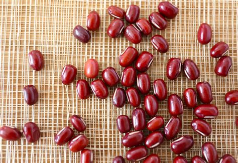ADZUKI red beans | A Taste of Culture