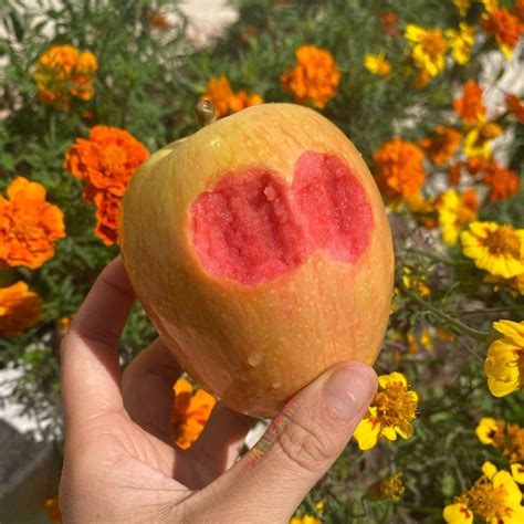 Hidden Rose Apple - Buy organic pink inside apples online from Miami Fruit