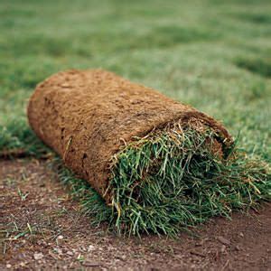 How To Lay Sod In 6 Easy To Follow Steps Artofit