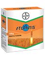 Bayer Atlantis Herbicide Reliable Weed Management For Wheat