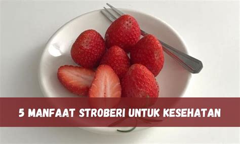 Bagus Tingkatkan Fungsi Otak Inilah 5 Manfaat Lainnya Buah Stroberi