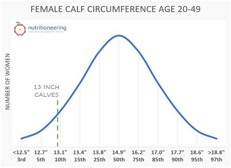 Are Inch Calves Skinny What S Average For Your Body