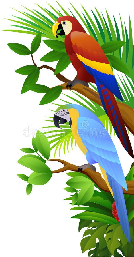 Papegaai Vector Illustratie Illustration Of Wildernis 9428528