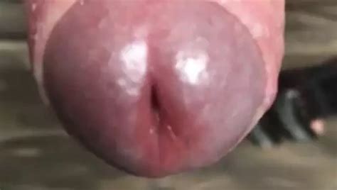 Foreskin Close Up Ending With Cumshot Gay Pov Porn Feat Foreskinguy Xhamster