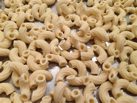 Extend Noodle Life: The Ultimate Guide to Freezing Cooked Pasta - Hunter Games Magazine