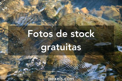 6153 Fotos Y Imágenes De Topic Transparent Gratis · Banco De Fotos Gratis